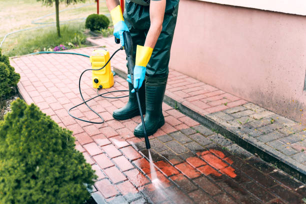 Best Parking Lot and Garage Cleaning  in Trenton, IL