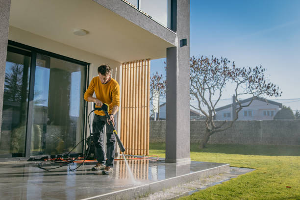 Best Spring Cleaning  in Trenton, IL